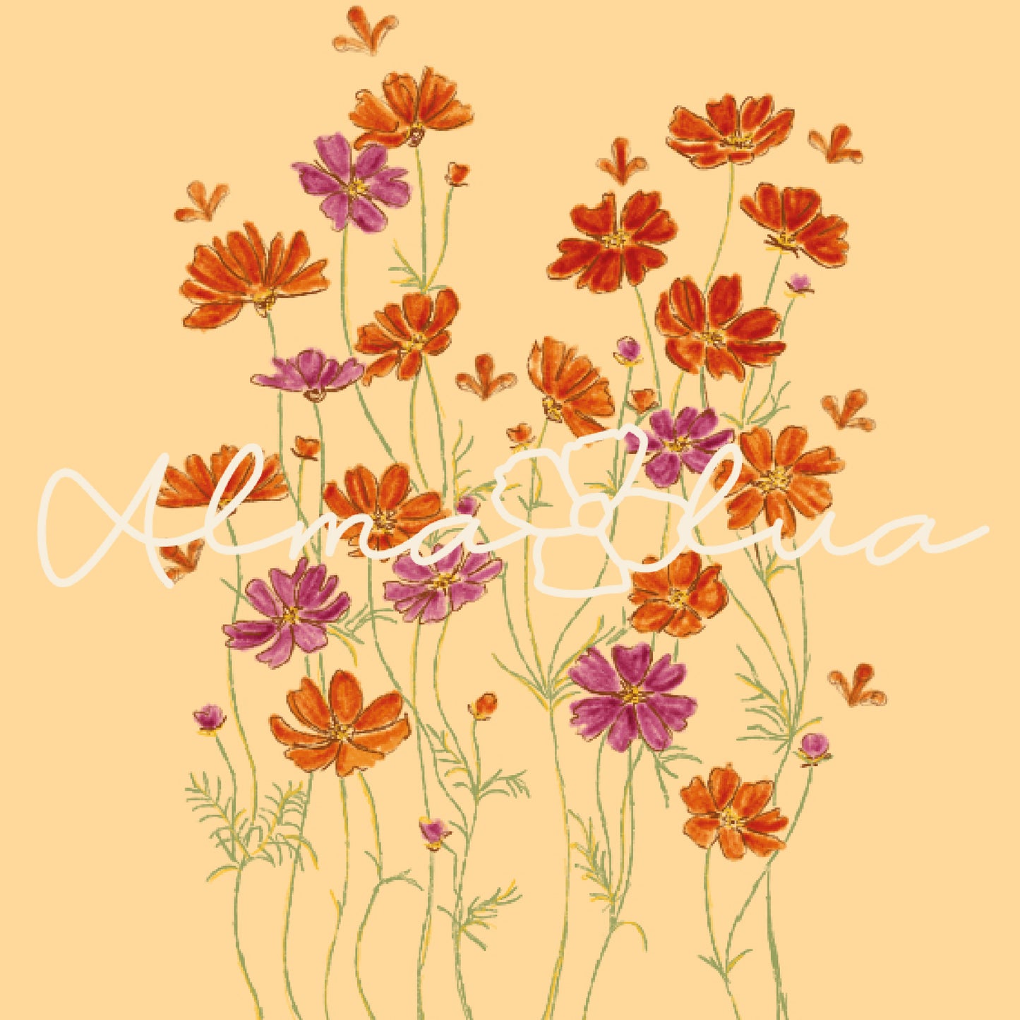 ILLUSTRATION BY ALMA LUA STUDIO